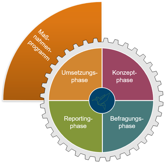 Implementation phase